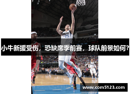 小牛新援受伤，恐缺席季前赛，球队前景如何？