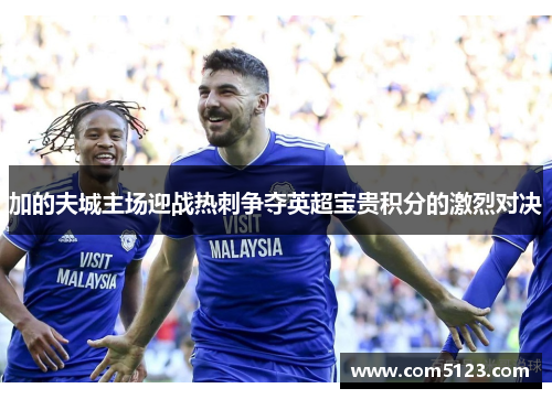 加的夫城主场迎战热刺争夺英超宝贵积分的激烈对决